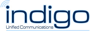 Indigo CyberProtect